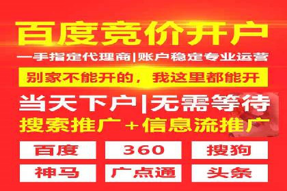 成功SEM推广代运营案例展示